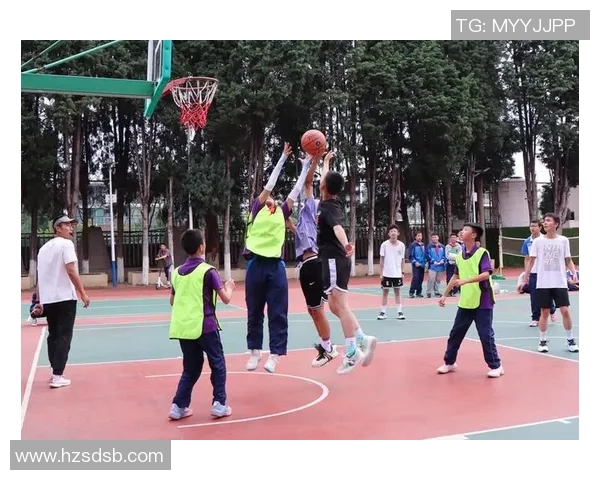 邹雨宸：从篮球新星到职业生涯的辉煌征程与未来展望